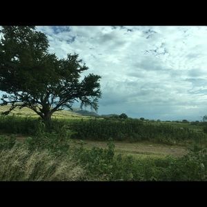 Meet your Posher, Eloisa